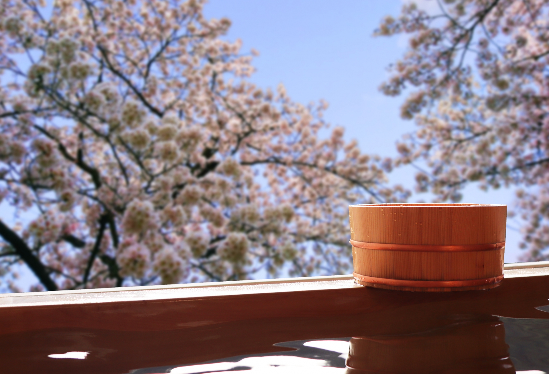 Bể Onsen Khoáng Hoàn Nguyên